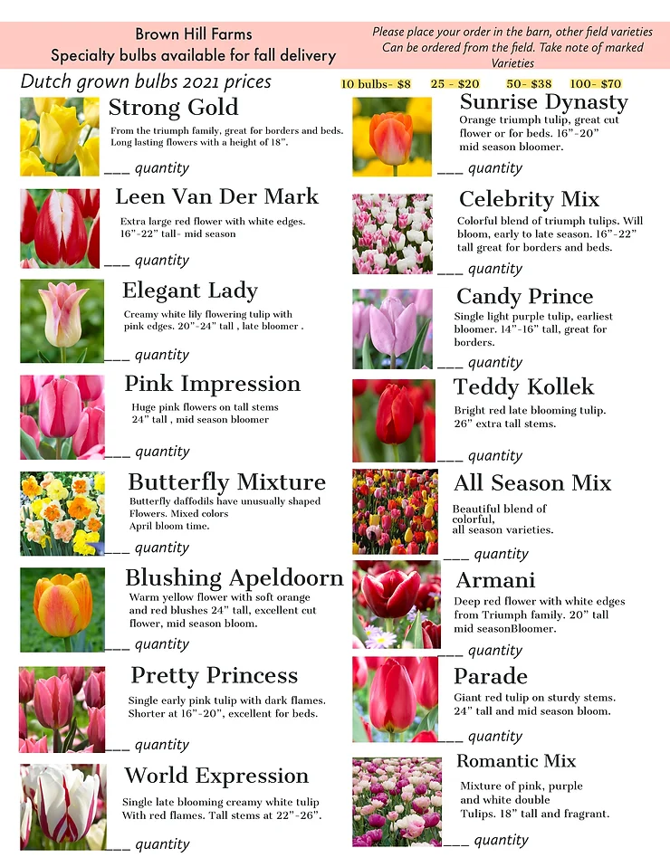 Browse our specialty bulbs for fall delivery to have your own beautiful tulip blooms!