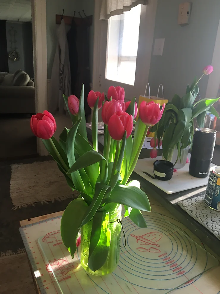 Caring for your fresh cut tulip bouquets.