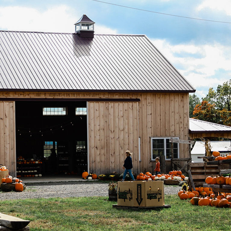Our Market Barn is the perfect place to pick up pre-picked pumpkins, browse gifts, or enjoy a farm fresh snack!